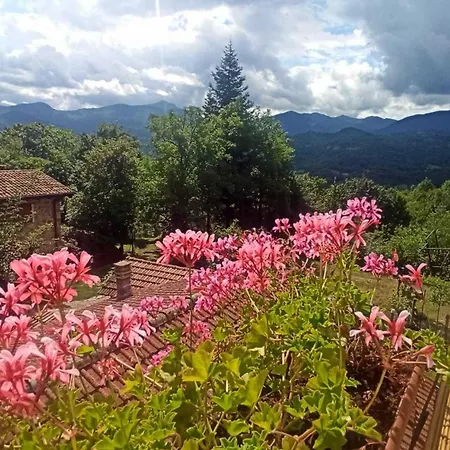 Il Borgo Del Ventasso