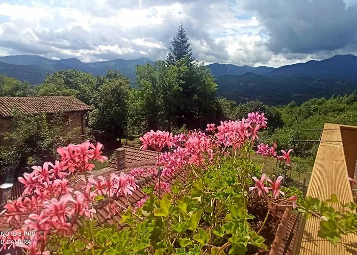 Il Borgo Del Ventasso